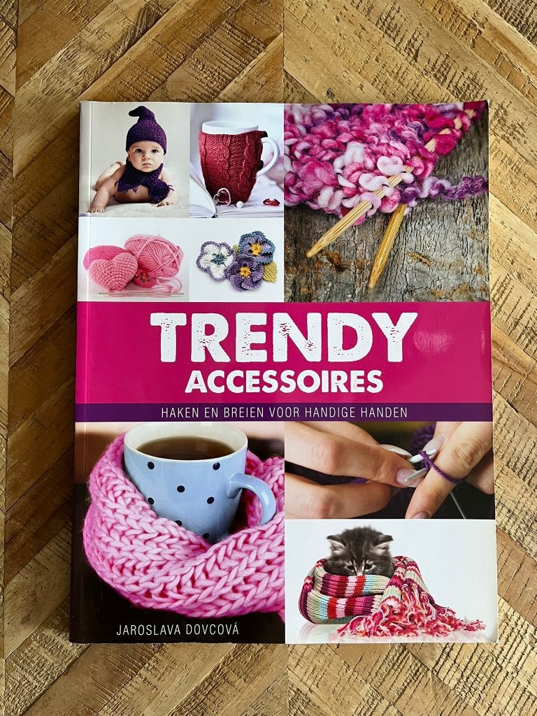 Boek Trendy accessoires haken en breien, Ophalen of Verzenden, Zo goed als nieuw, Haken, Patroon of Boek