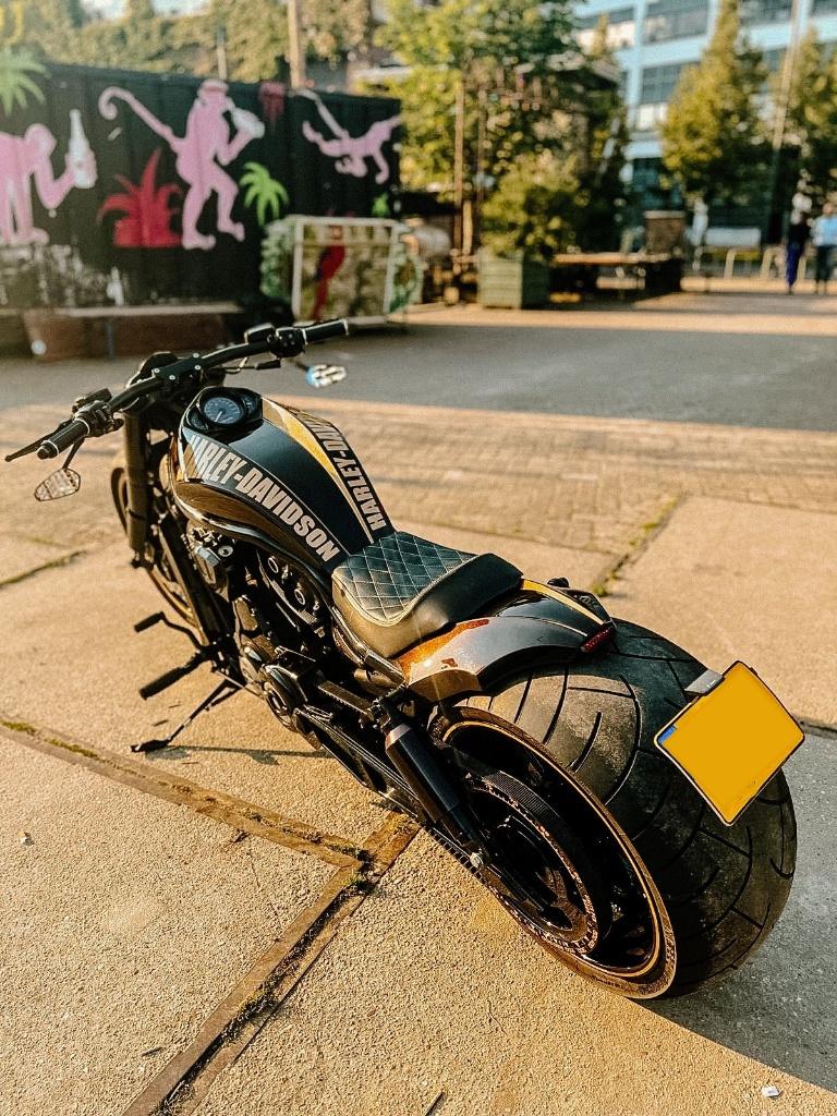 Brute Harley Night Rod Special | 300 achterwiel | Top Custom, 2 cilinders, Particulier, Meer dan 35 kW, 1250 cc