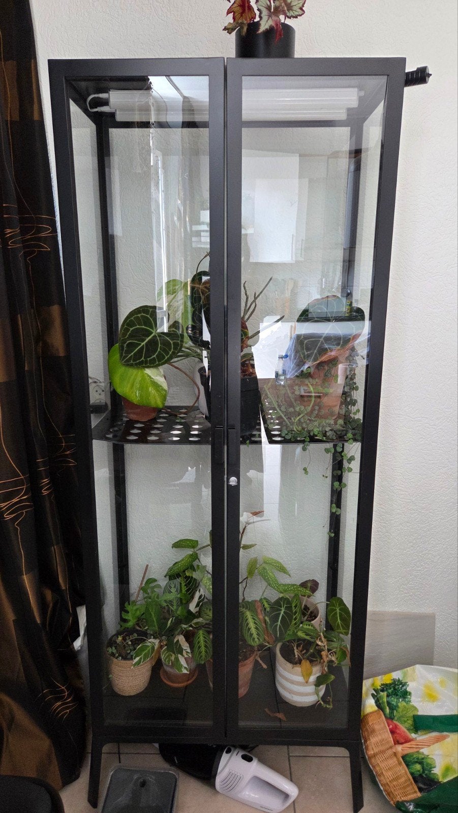 IKEA Vitrinekast / Plantenkas, Huis en Inrichting, Kasten | Vitrinekasten, Ophalen, 50 tot 100 cm, Glas, Modern, Plantenkas
