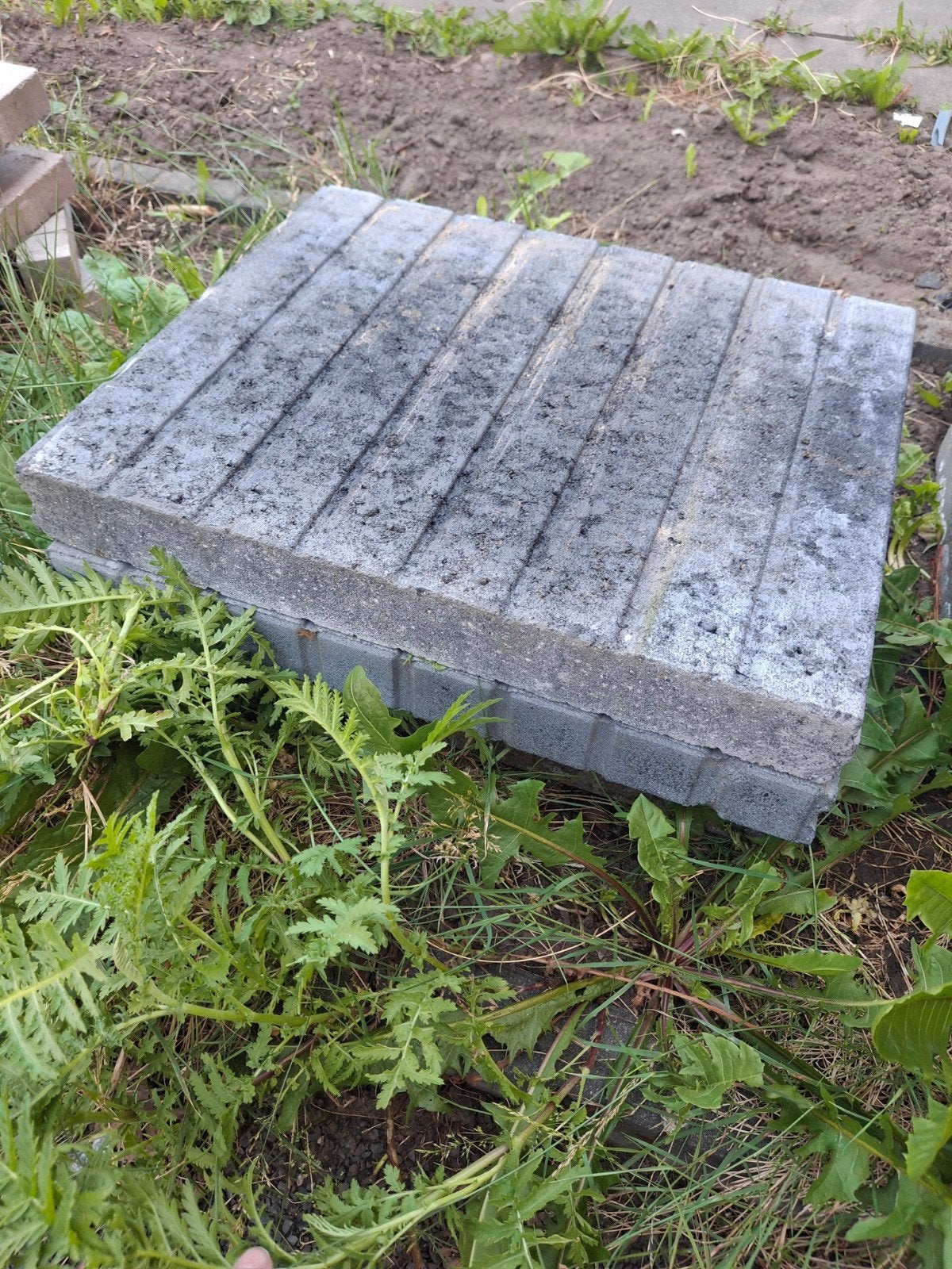 Gratis 5 opsluitbanden - alles meenemen!, Tuin en Terras, Tegels en Klinkers, Ophalen, Gebruikt, Beton, Overige typen