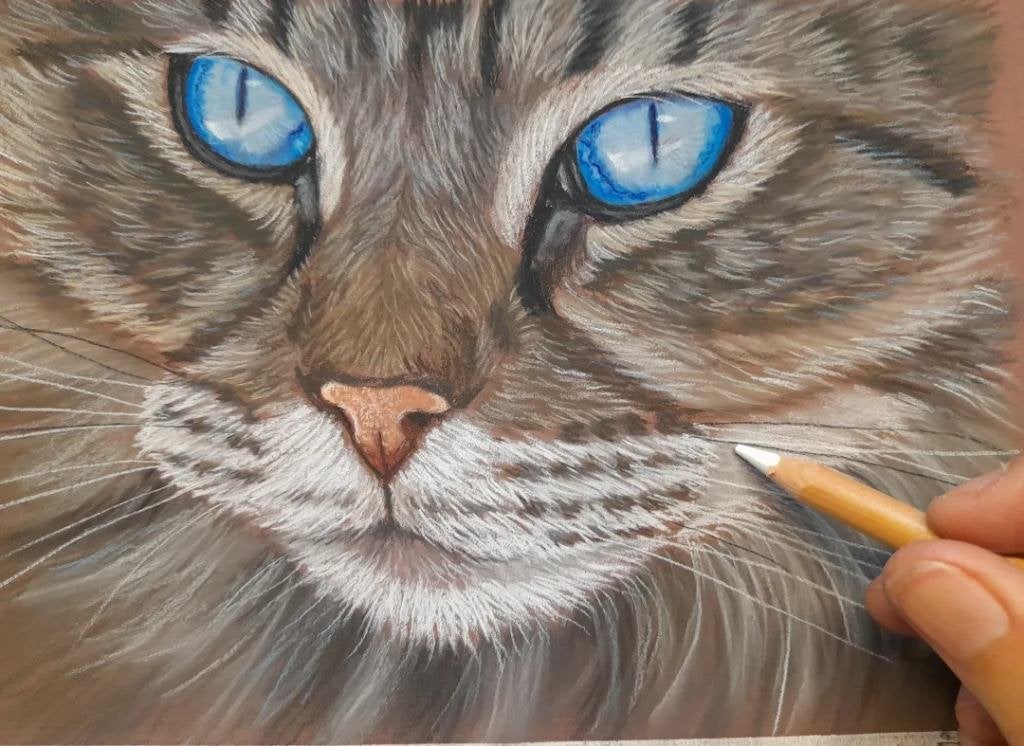 Schilderij noorse boskat - GRATIS VERZENDING - kat katten, Ophalen of Verzenden, Nieuw