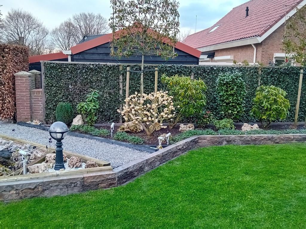 Hovenier, Ophalen of Verzenden, Overige soorten, 100 tot 250 cm