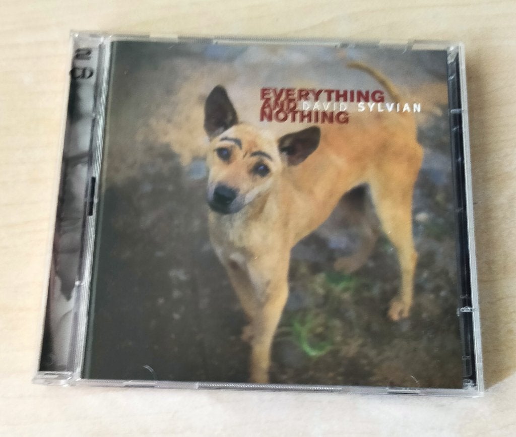 David Sylvian - Everything and Nothing 2CD 2000, Ophalen of Verzenden, Gebruikt, Progressive