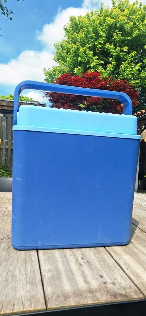 Blauwe koelbox met handvat, Ophalen, Gebruikt, Koelbox, Koelelement