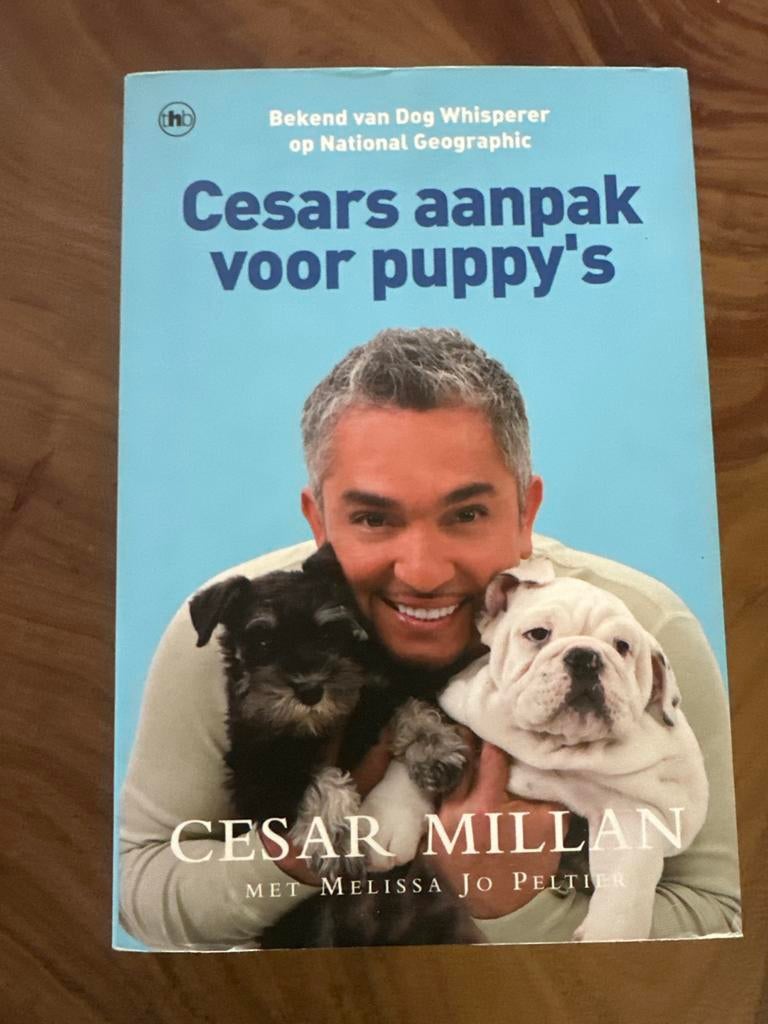 Cesars aanpak voor puppy's - Cesar Millan, Ophalen of Verzenden, Gelezen, Honden
