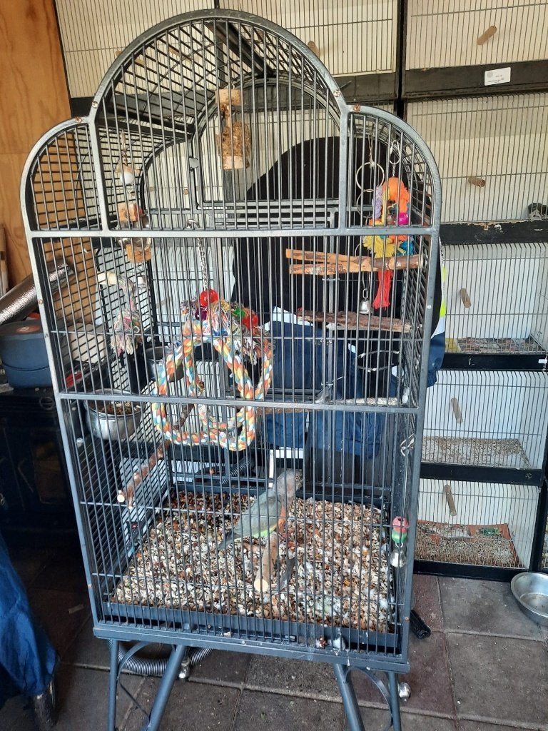 Grote vogelkooi., Dieren en Toebehoren, Ophalen, Gebruikt, Metaal, Vogelkooi