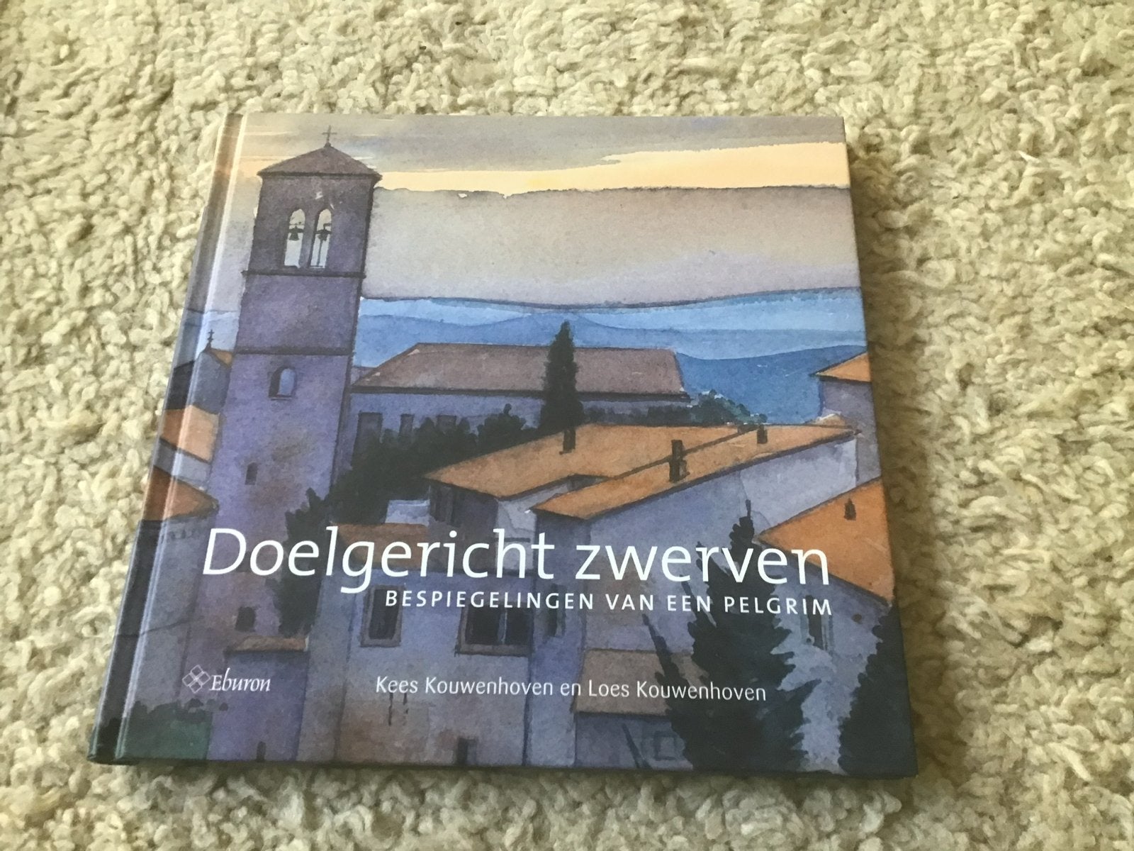 Doelgericht zwerven: Bespiegelingen van een pelgrim giro 555, Ophalen of Verzenden, Zo goed als nieuw