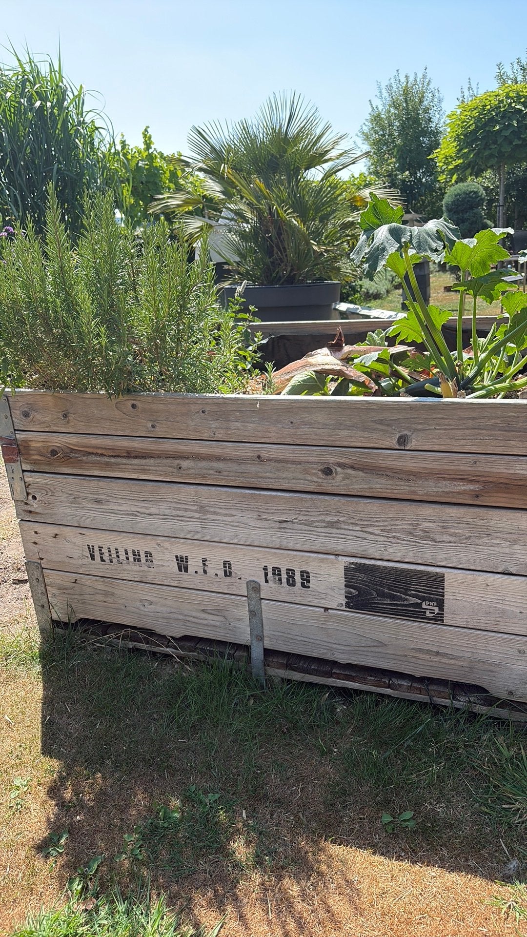 Veilingbak moestuin, Tuin en Terras, Ophalen, Zo goed als nieuw, Kweekbak