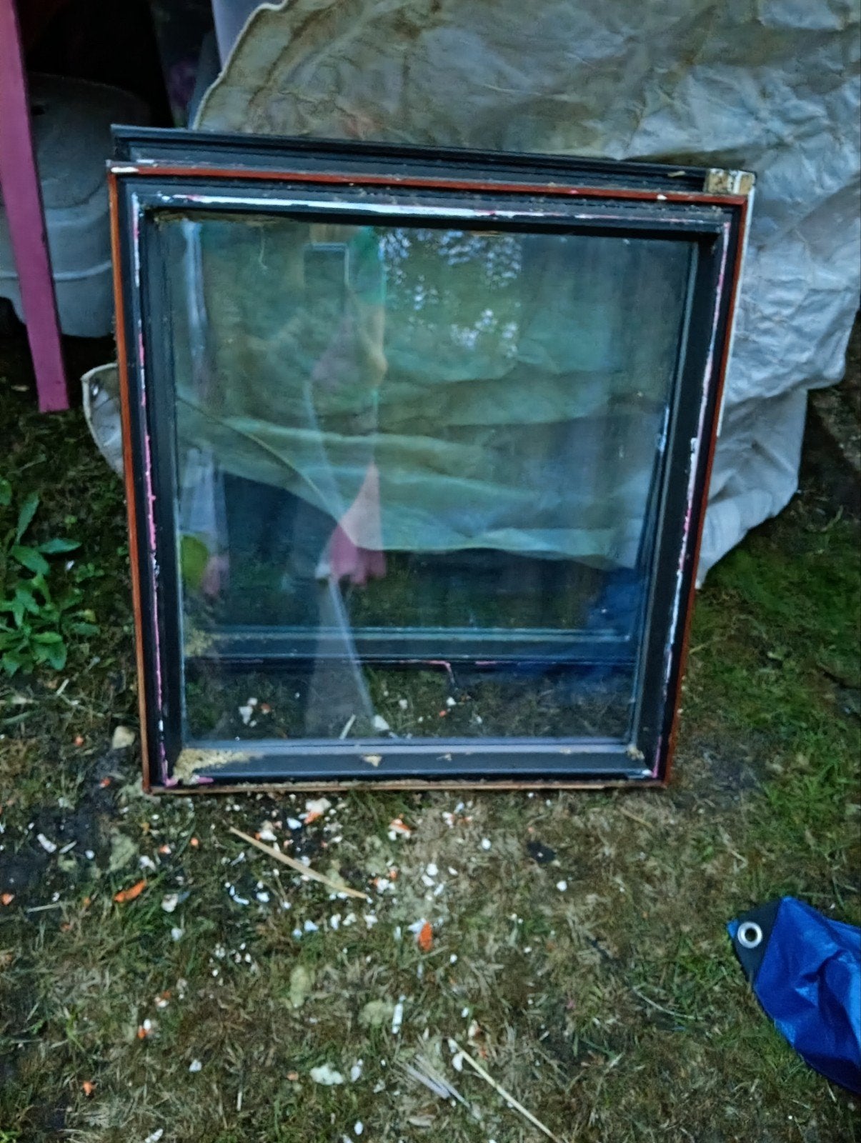 2x raam met dubbel glas, Ophalen, Zo goed als nieuw, Gevelraam of Ruit, Dubbelglas