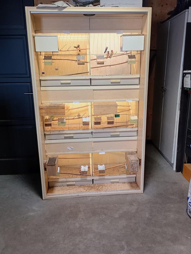Vogel kooien tekoop, Dieren en Toebehoren, Ophalen, Gebruikt, Hout, Broedkooi of Kweekkooi