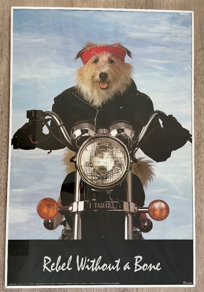 Poster ingelijst en achter glas, Ophalen, Rechthoekig Staand, Met lijst, Zo goed als nieuw