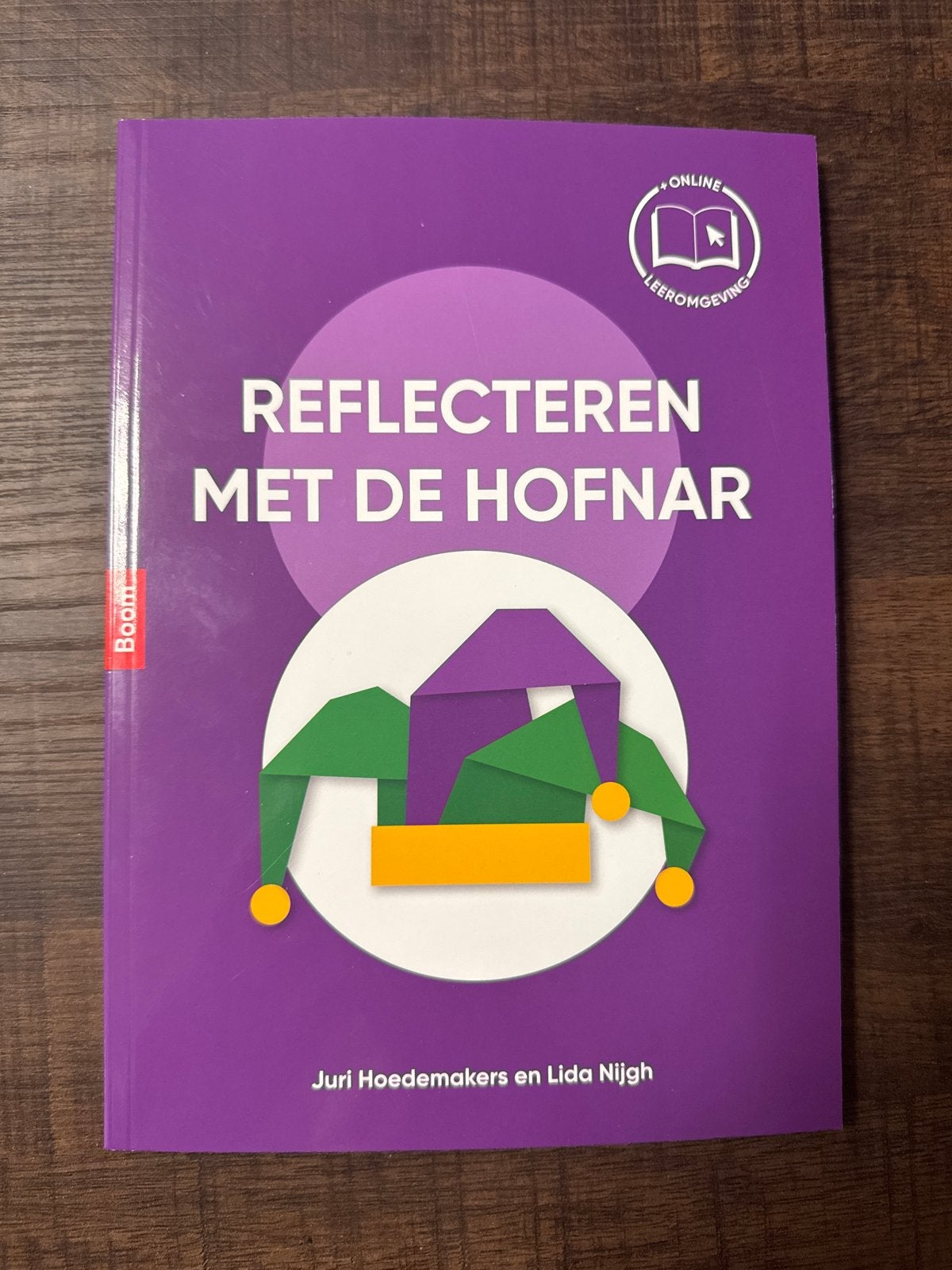 Reflecteren met de Hofnar - Juri Hoedemakers & Lida Nijgh, Verzenden, Gamma, Zo goed als nieuw, HBO