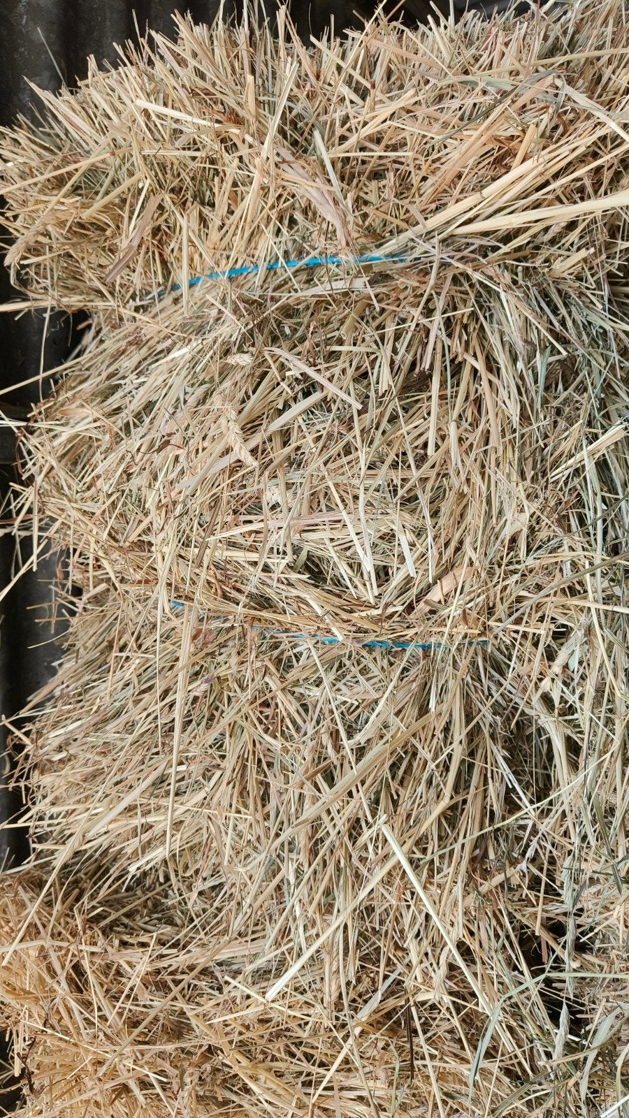 Kleine baaltjes onkruidvrij weidehooi mei 2026 a 5 euro, Dieren en Toebehoren, Ophalen, Hond