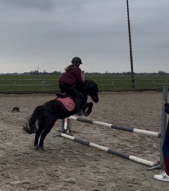 Lease pony gezocht!, Ophalen of Verzenden, Nieuw