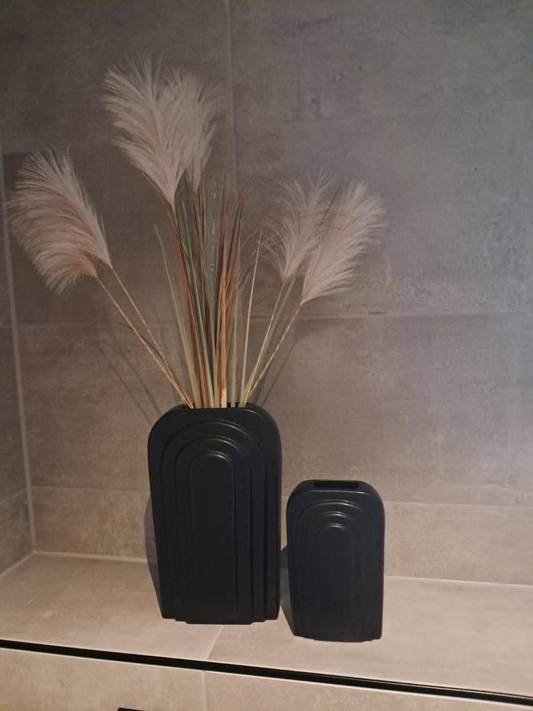 Set van 2 zwarte vazen met decoratieve takjes, Ophalen, Zo goed als nieuw, Zwart, Minder dan 50 cm