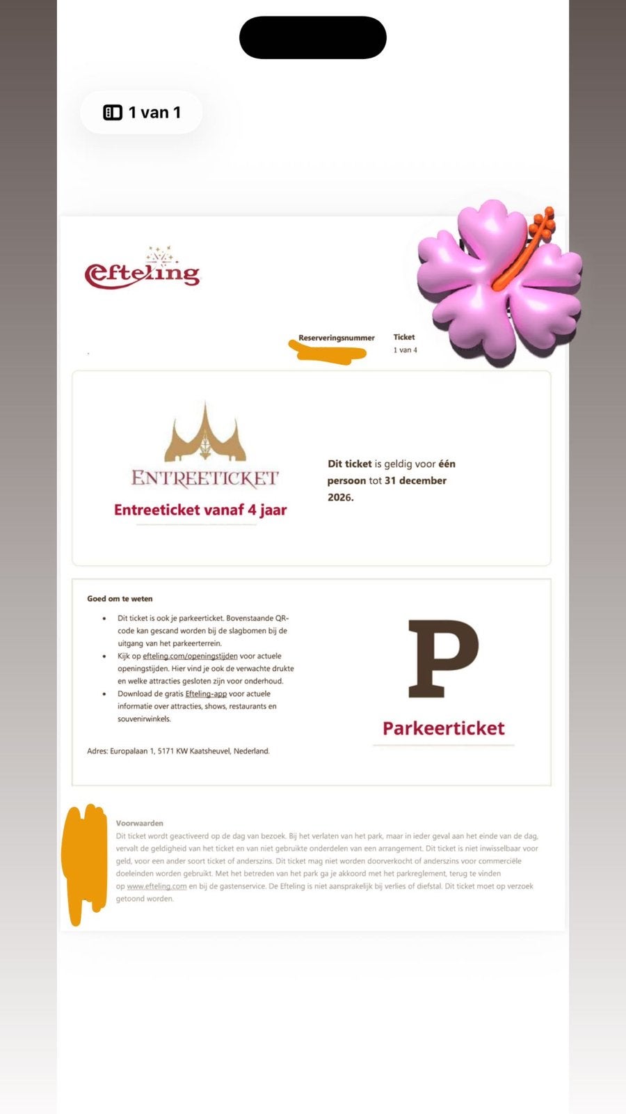 Efteling kaartjes, Tickets en Kaartjes, Drie personen of meer, Overige soorten, Pretpark