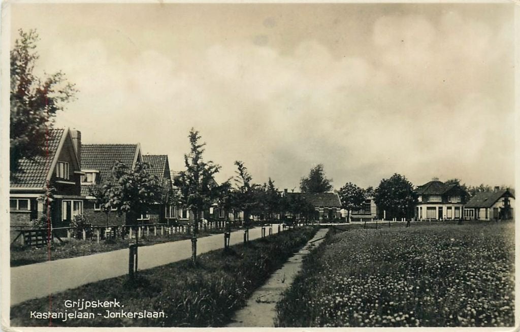 378-323-015 Grijpskerk Kastanjelaan, Verzenden, Voor 1920, Groningen