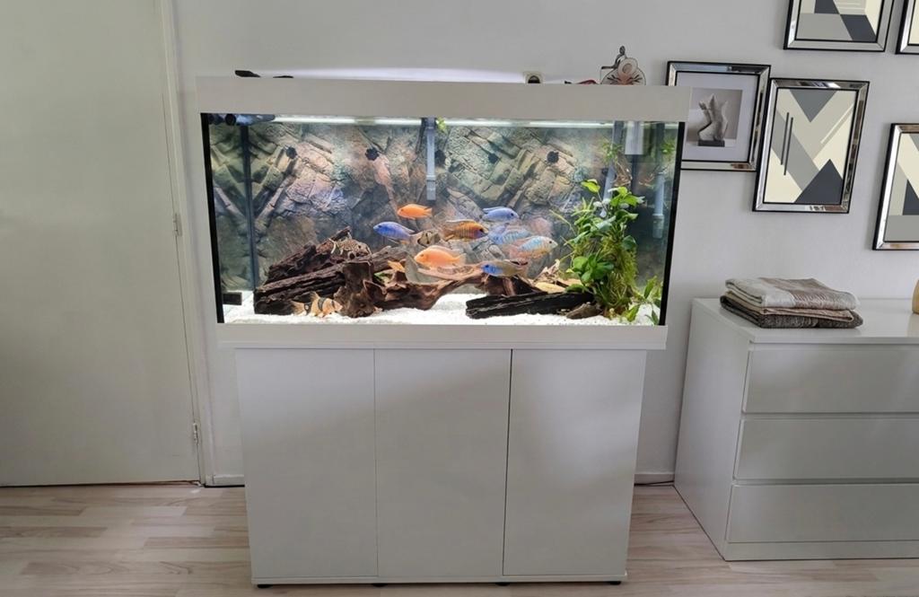 Juwel rio 350L, Dieren en Toebehoren, Vissen | Aquaria en Toebehoren, Ophalen, Zo goed als nieuw, Leeg aquarium