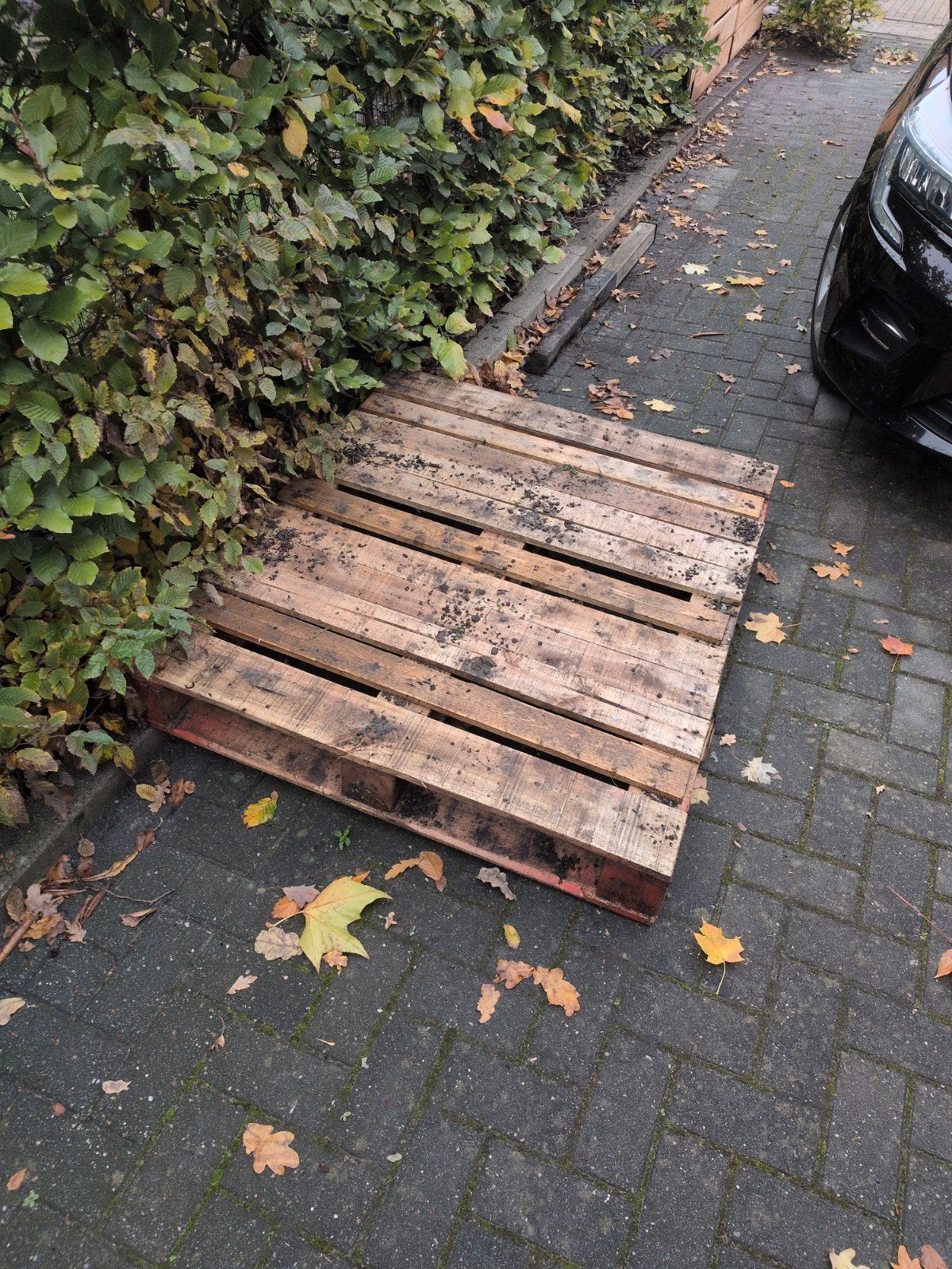 gratis pallet, Ophalen, Vuren, Minder dan 200 cm, Pallet