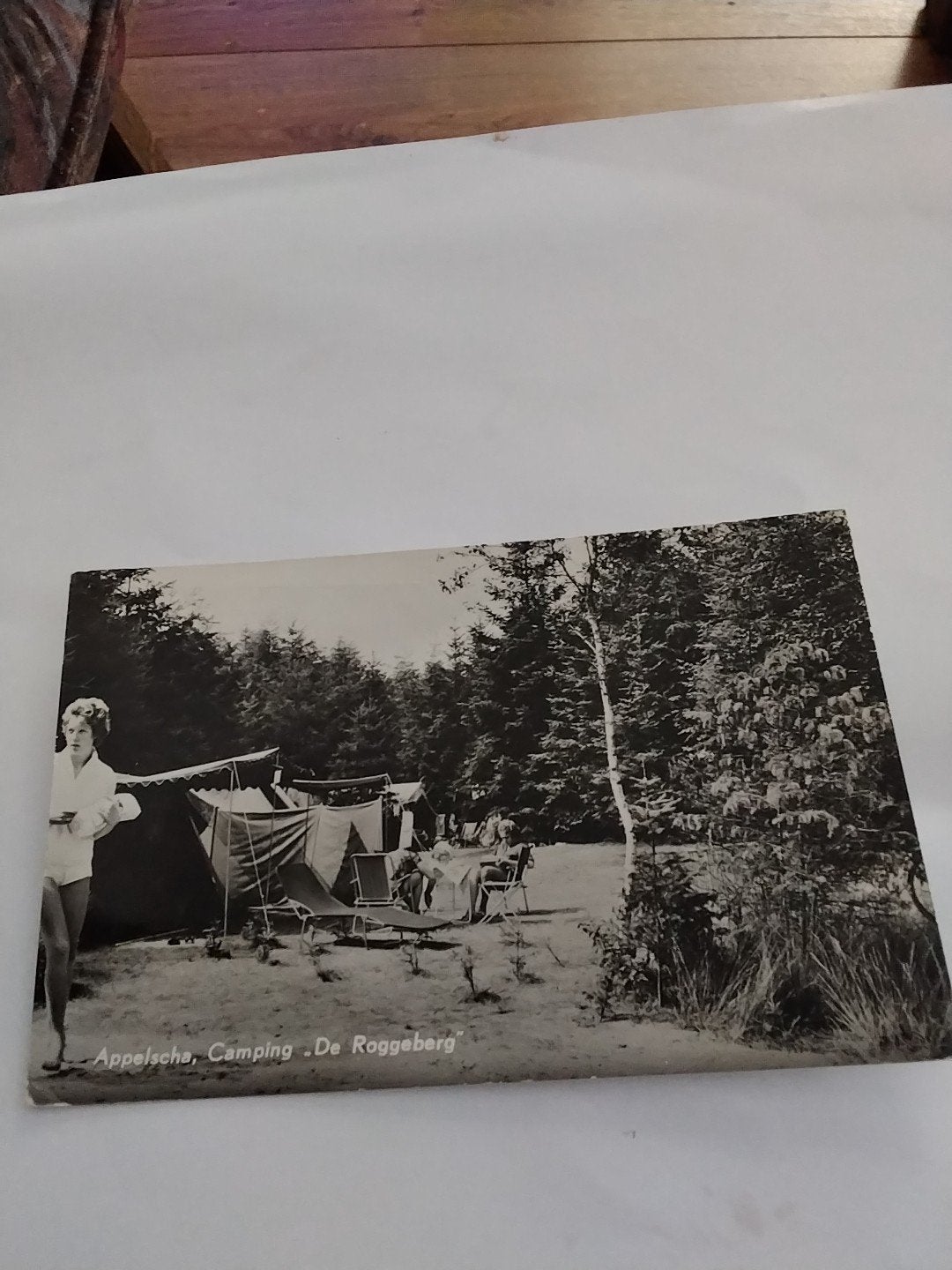Ansichtkaart Appelscha, Camping De Roggeberg (1940-1960), Ophalen of Verzenden, 1960 tot 1980