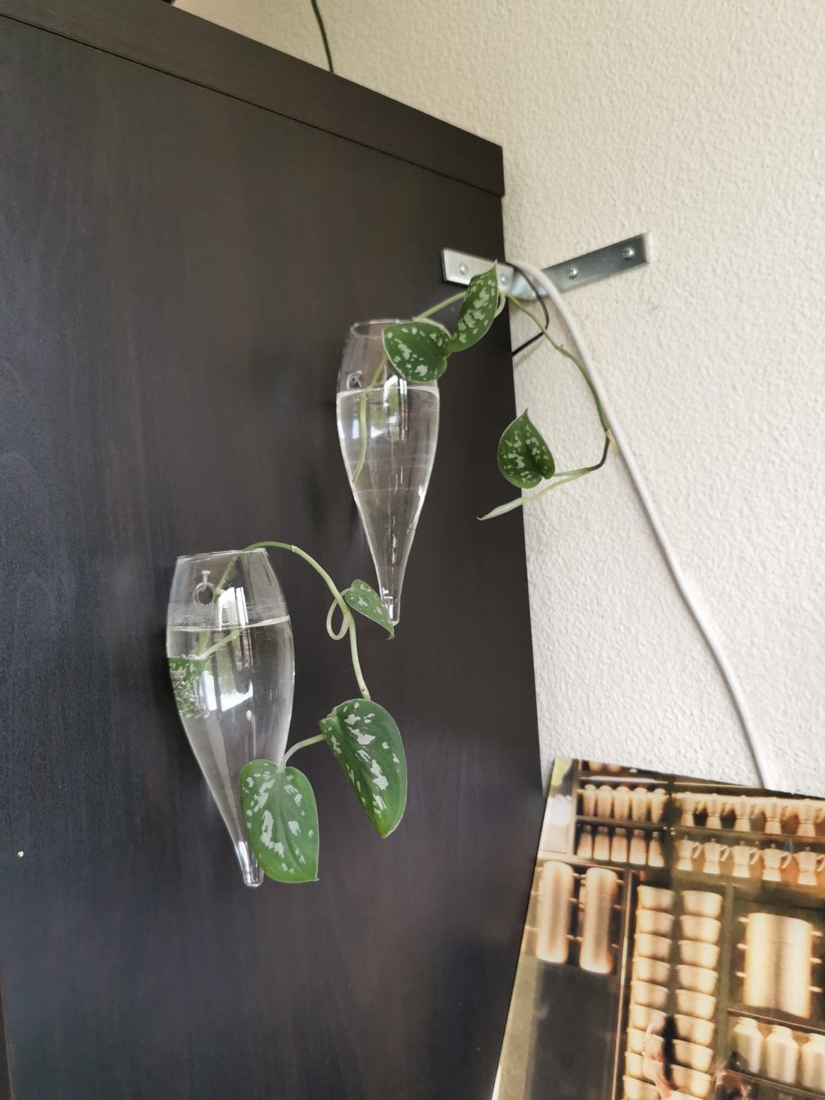 Glazen wandvaasjes voor stekjes of decoratie, Ophalen of Verzenden