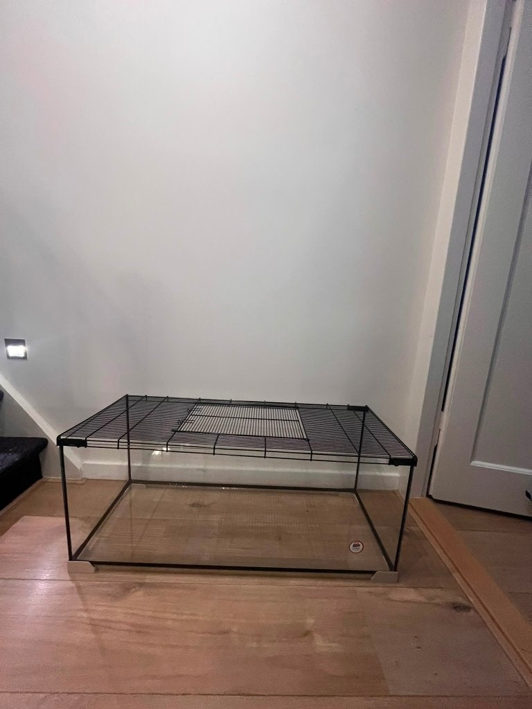 groot glazen terrarium/hamsterkooi, Kooi, Cavia, Zo goed als nieuw, Info@geleen.intratuin.nl