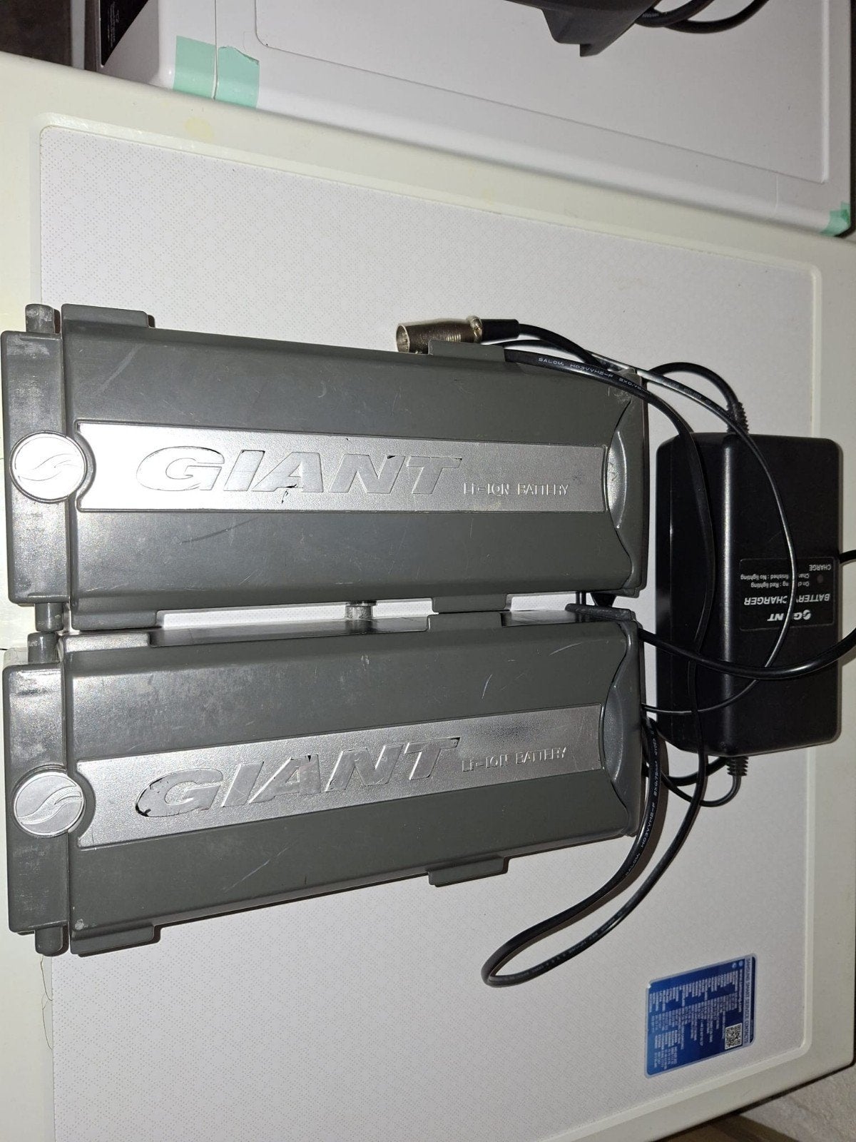 Giant Li-Ion E-bike Accu's met Oplader (2 stuks), Ophalen, Gebruikt