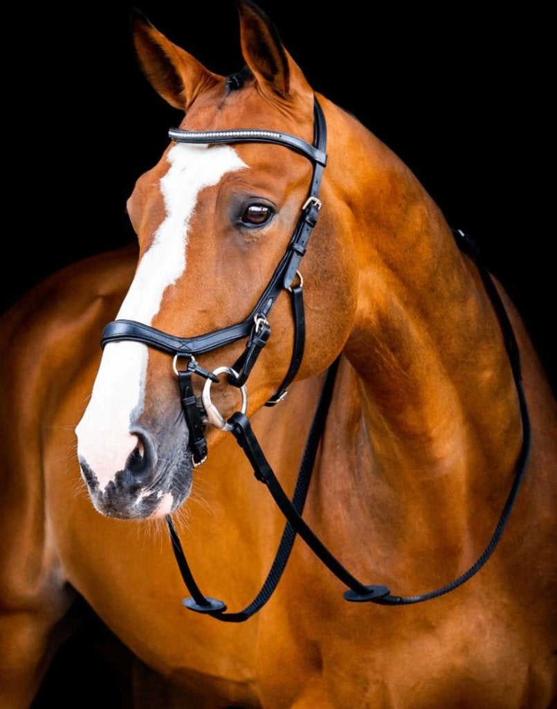 Hoofdstel Rambo Micklem Diamond Competition New zwart full, Dieren en Toebehoren, Paarden en Pony's | Hoofdstellen en Tuigage