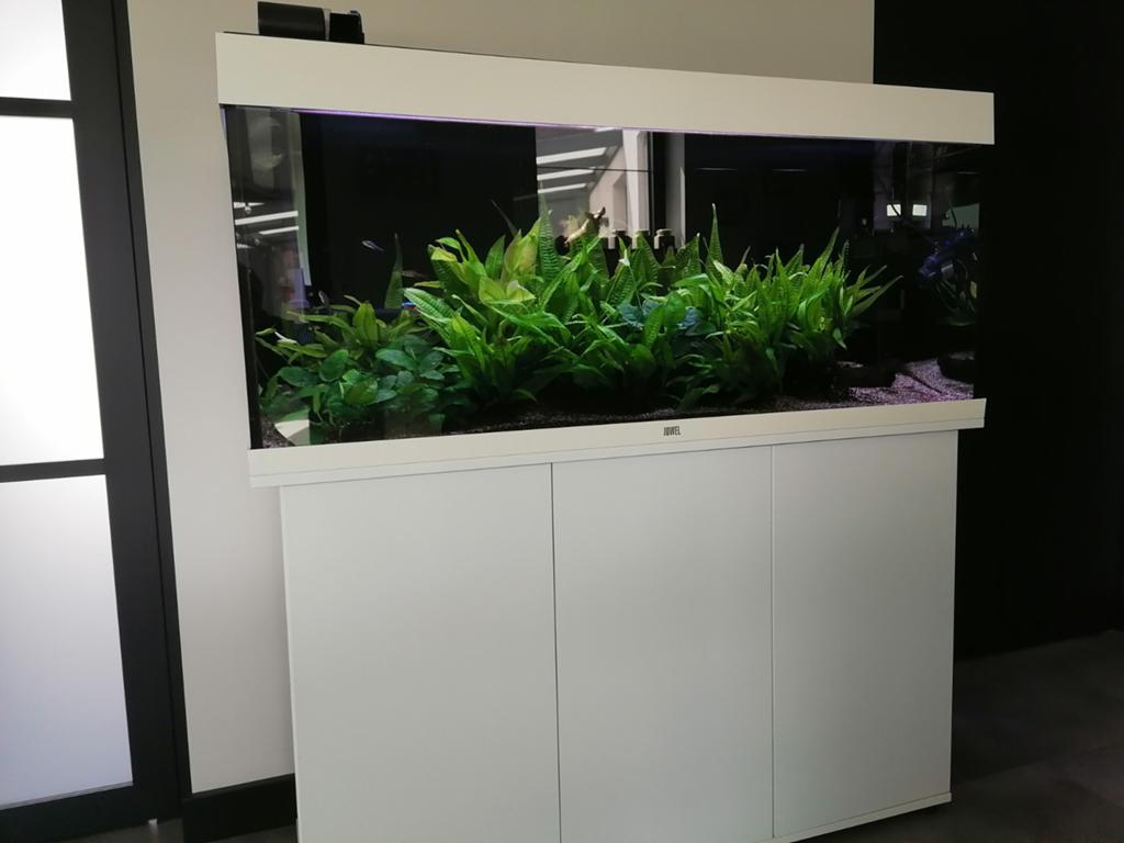 Mooi zoetwater aquarium, Dieren en Toebehoren, Vissen | Aquaria en Toebehoren, Ophalen, Zo goed als nieuw, Leeg aquarium