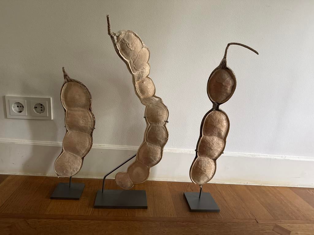 Decoratieve peulen op standaard - Set van 3, Ophalen