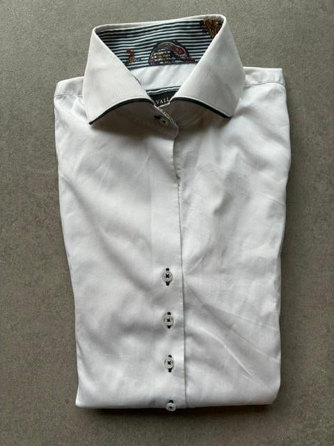 Dames blouse Cavallaro effen wit maat 38, Kleding | Dames, Blouses en Tunieken, Ophalen of Verzenden, Zo goed als nieuw, Maat 38/40 (M)
