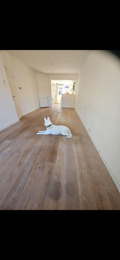 Mooie houten vloer, parket, eiken, 40m², Gebruikt, Bruin, Klassiek, Landelijk, Tijdloos, 25 tot 50 m²