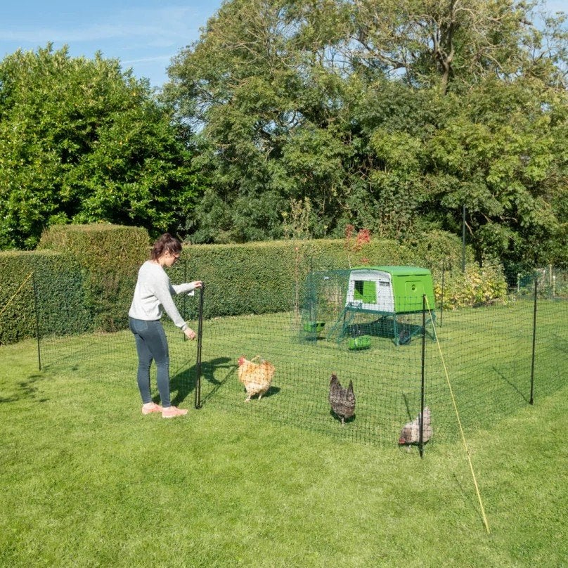 Eglu Afrastering 42 meter, Dieren en Toebehoren, Ophalen, Gebruikt, Kippenhok of Kippenren
