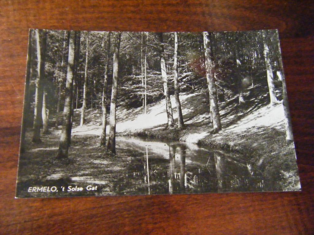 Z37 - Ermelo - Solse Gat - Mooi/Oud, Ophalen of Verzenden, 1960 tot 1980, Gelderland