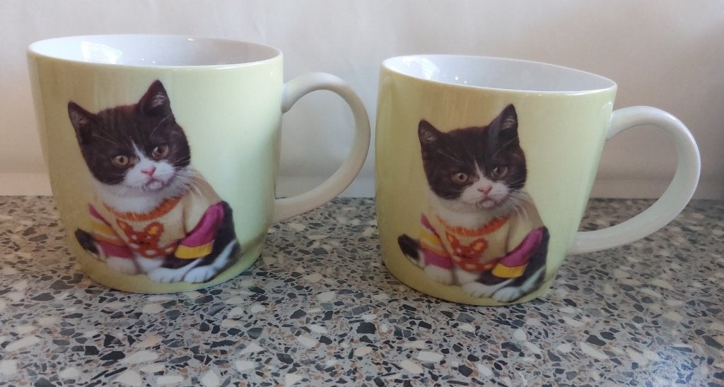 2 mokken bekers kat katten met trui Rachael Hale, Gebruikt, Overige merken, Overige stijlen, Porselein