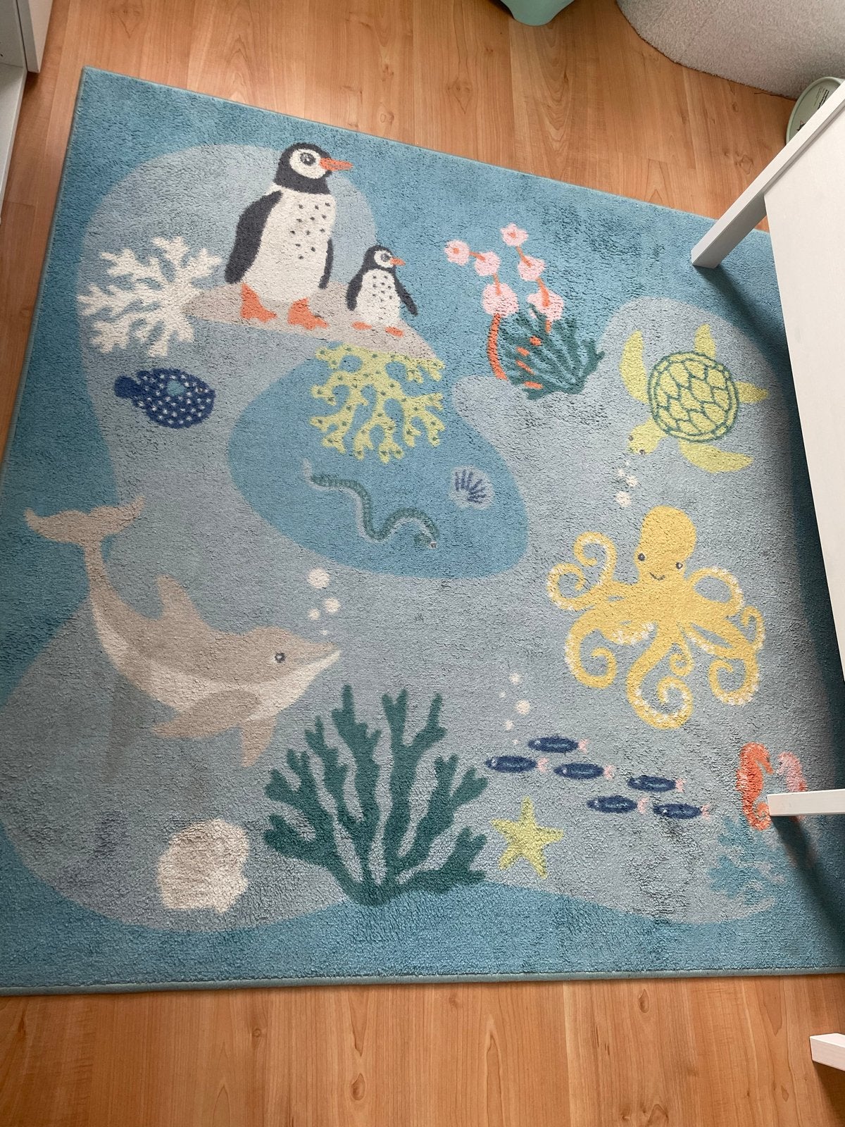 Onderwater thema kamer: vloerkleed, decoratie & knuffels, Ophalen, Gebruikt, Meerkleurig, Overige stijlen
