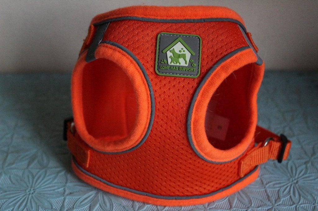 Tuigje voor kleine hond - S, Ophalen of Verzenden, Zo goed als nieuw, Hondenriem-accessoire