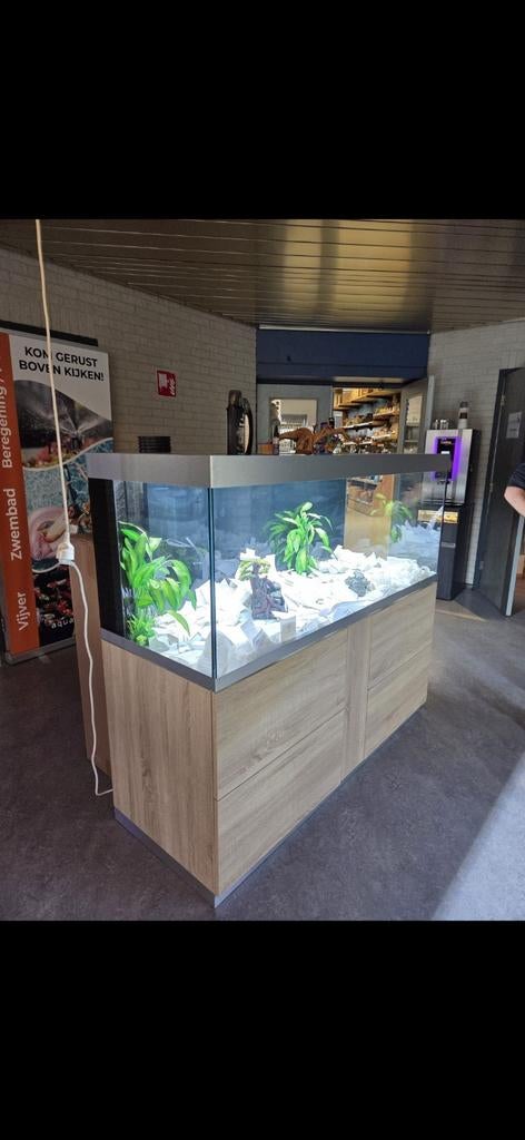 Oase highline 600 incl meubel. NIEUWSTAAT! ( incl 2 filters, Dieren en Toebehoren, Vissen | Aquaria en Toebehoren, Ophalen, Nieuw