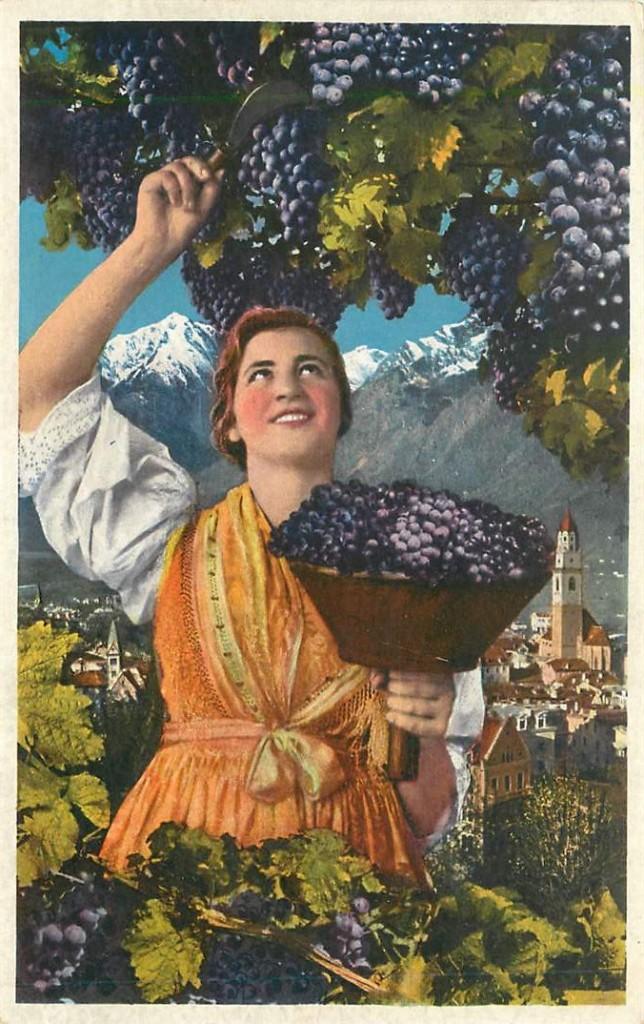 381-466-037 Merano, Verzenden, Voor 1920, Frankrijk