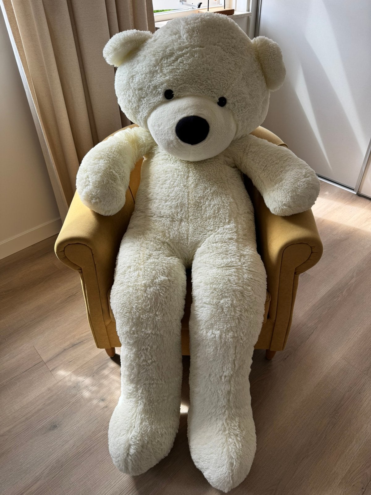 Grote teddybeer (crème), Ophalen, Zo goed als nieuw, Beer, Groot (groter dan 80 cm)