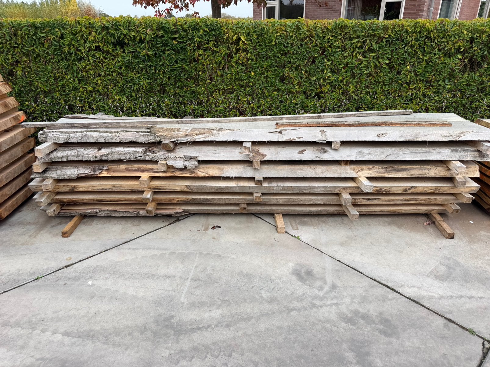6 grote boomstambladen voor 400 euro, Ophalen, Zo goed als nieuw, 50 mm of meer, Pallet