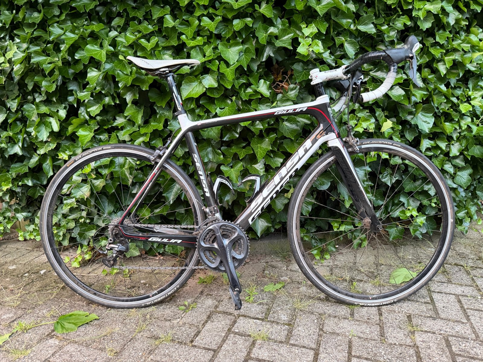 Sensa Giulia carbon Shimano Ultegra, Overige merken, 28 inch, Gebruikt, Carbon