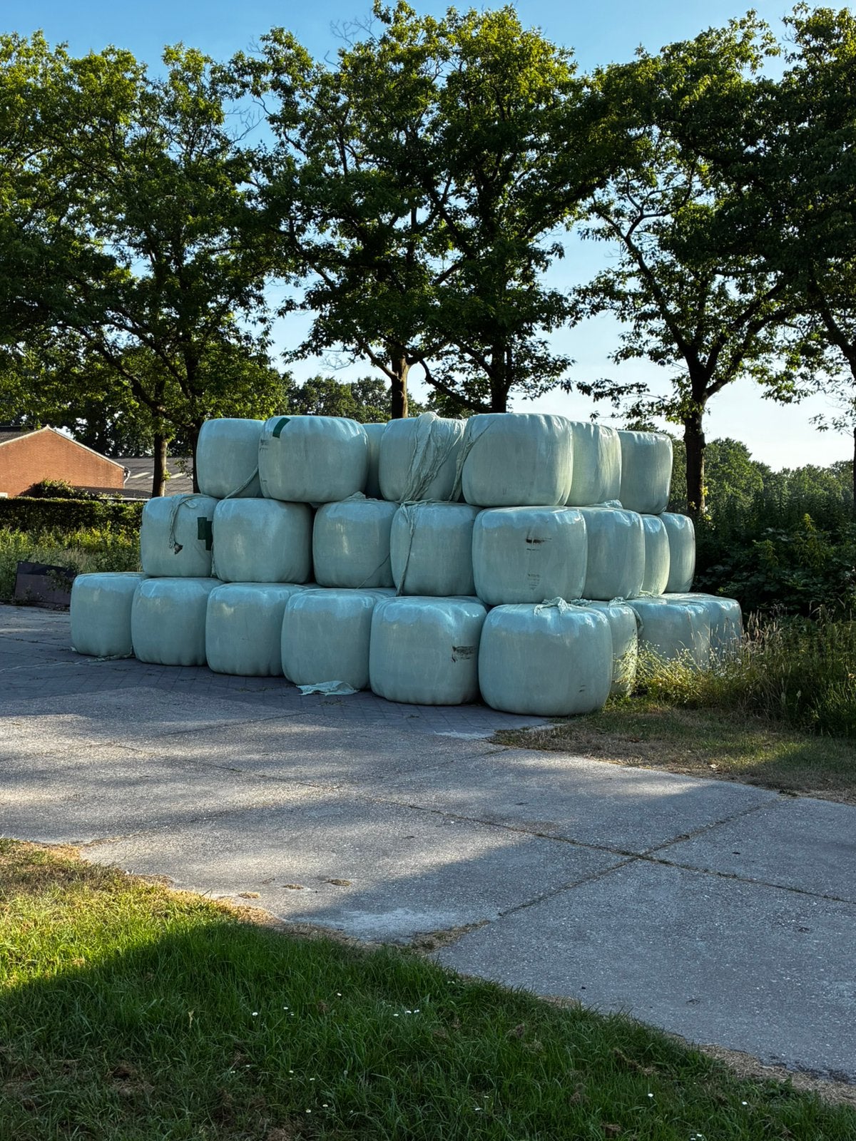 Midi hooibalen, Ophalen, Vee
