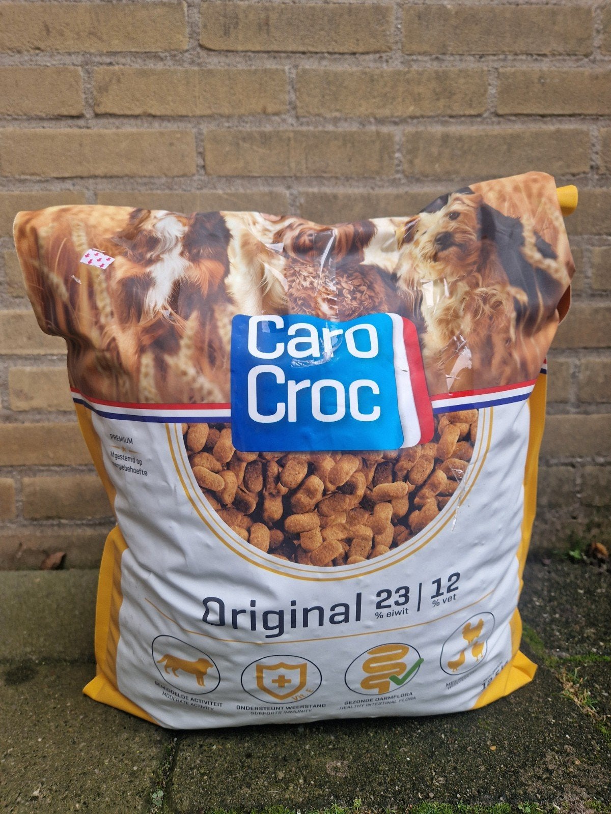 caro croc orginal, Ophalen, Hond
