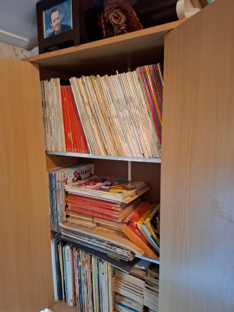 Te Koop Kast vol stripboeken ,  alles in één koop, Ophalen, Gebruikt