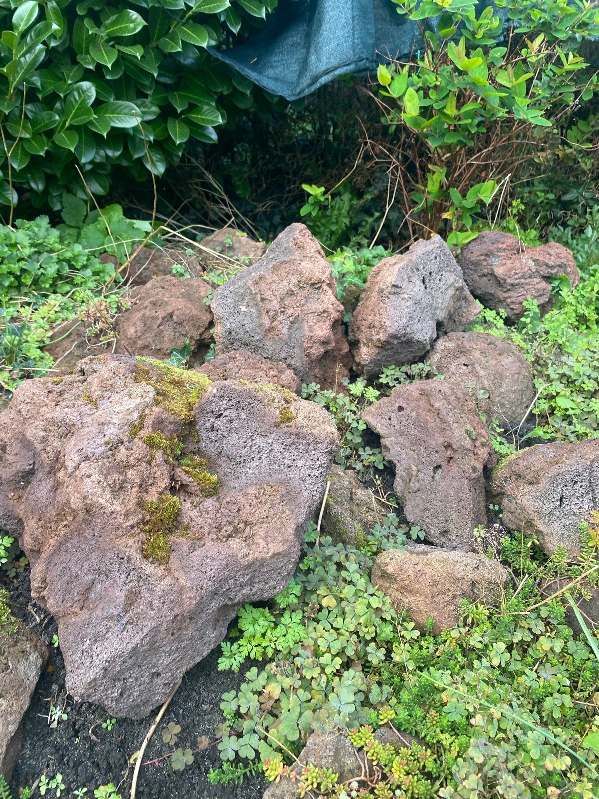 Gratis af te halen: Lava stenen voor tuin of decoratie, Tuin en Terras, Ophalen, Gebruikt, Bruin, Kei