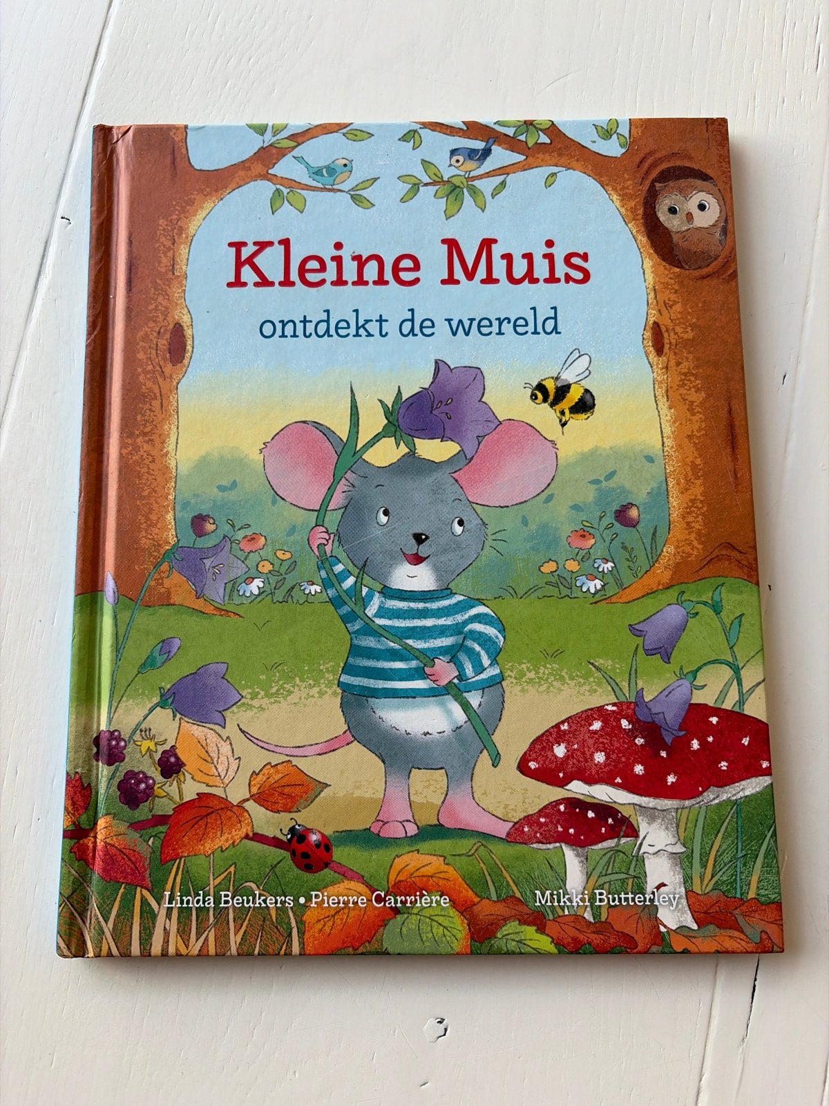 Kleine Muis ontdekt de wereld - Voorleesboek, Boeken, Fictie algemeen, Jongen of Meisje, Ophalen of Verzenden, Zo goed als nieuw