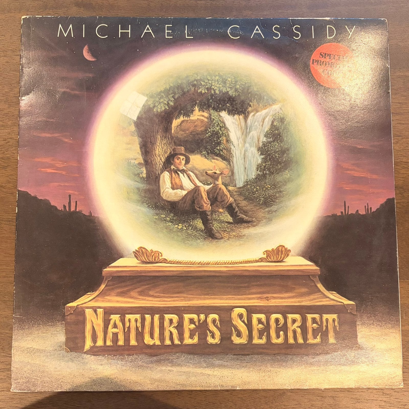 Michael Cassidy - Nature’s secret, Ophalen of Verzenden, Gebruikt, Overige formaten, Poprock