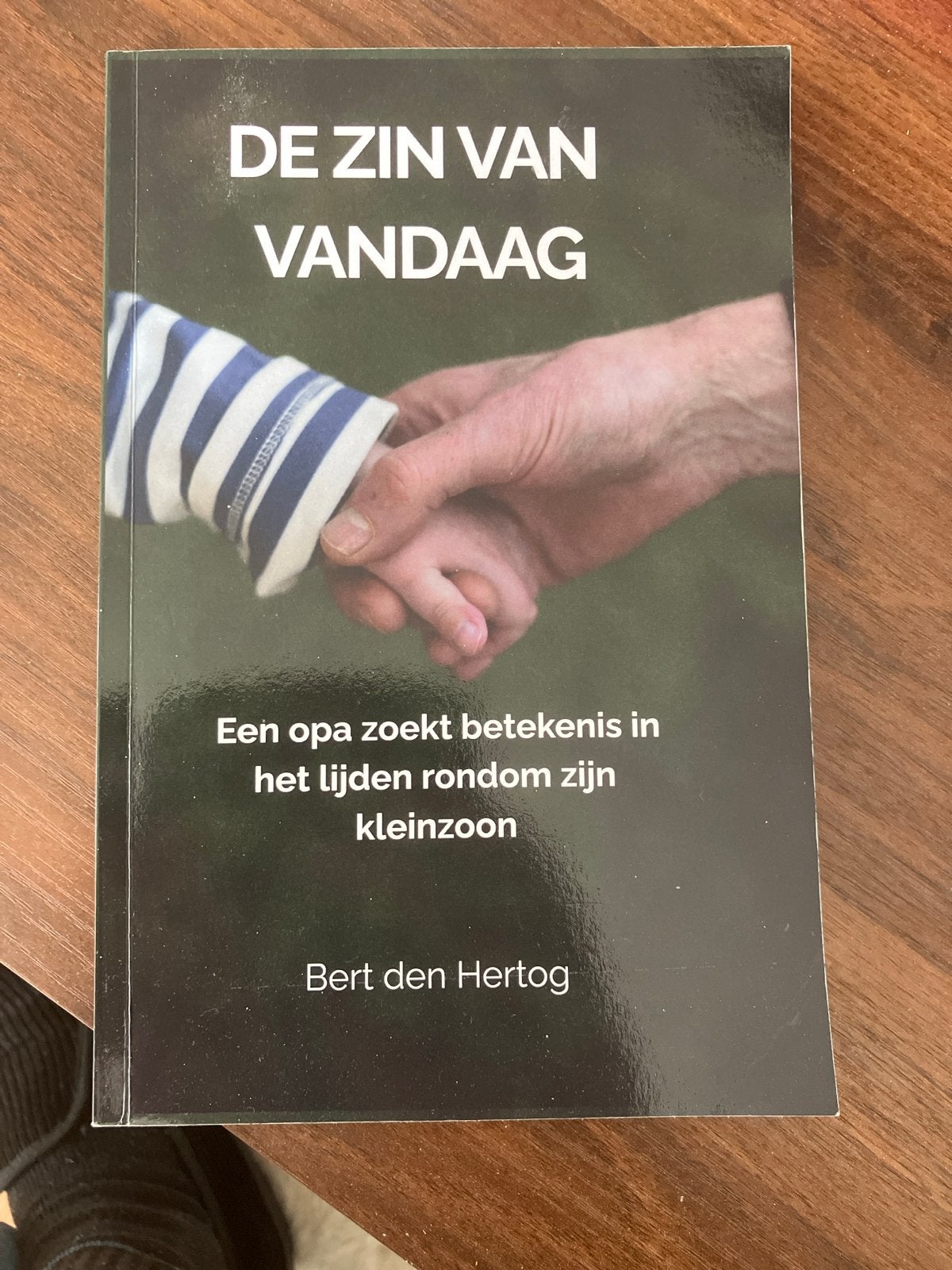 De Zin van Vandaag - Bert den Hertog, Boeken, Ophalen of Verzenden, Zo goed als nieuw, Overige