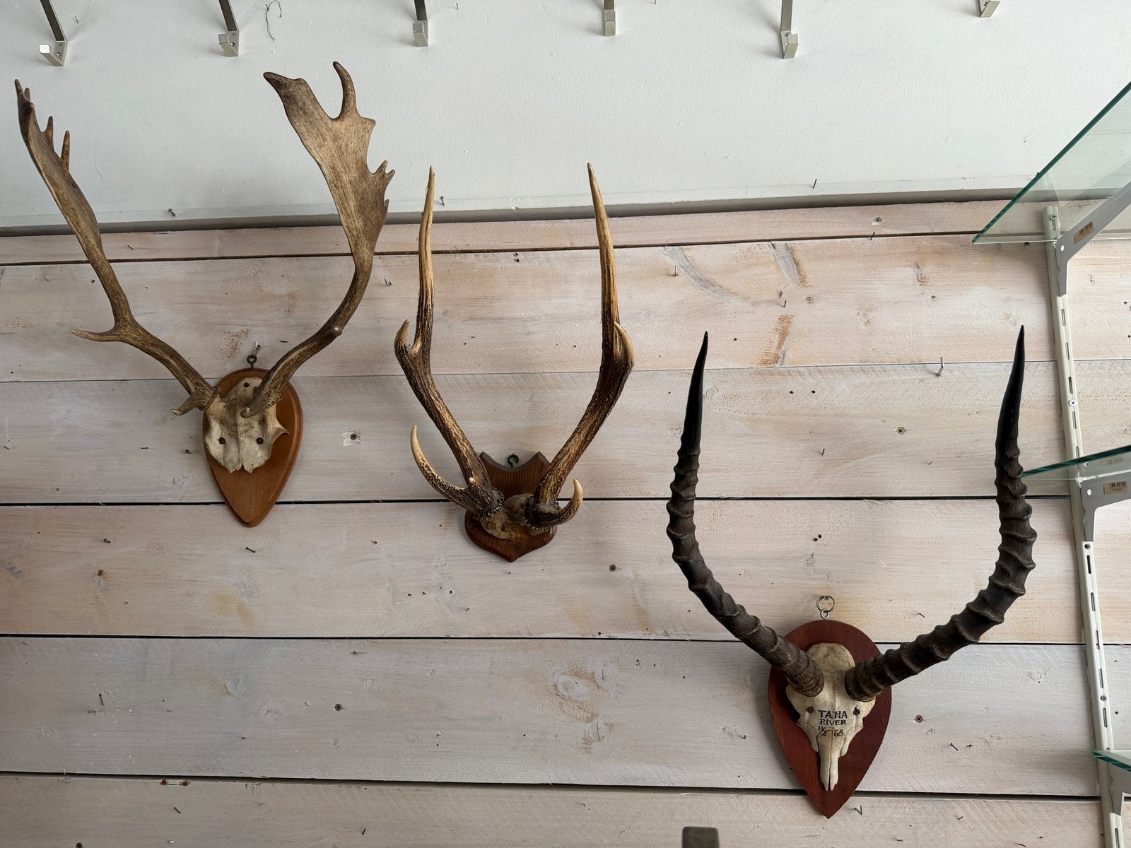 Set van 3 Vintage Geweien op Houten Schild, Ophalen of Verzenden